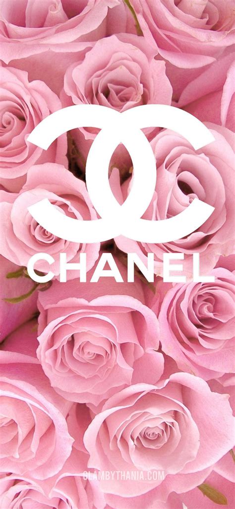 chanel pink wallpaper|pink chanel logo background.